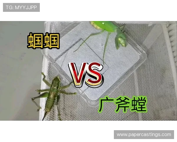 解析凯发体育游戏的策略与技巧,令你轻松取胜